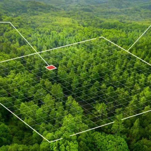 Google Lança Satélite de IA para Detecção Rápida de Incêndios Florestais