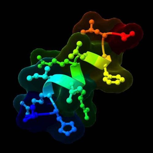 Pesquisadores de Stanford Descobrem Molécula Natural com Potencial para Substituir o Ozempic